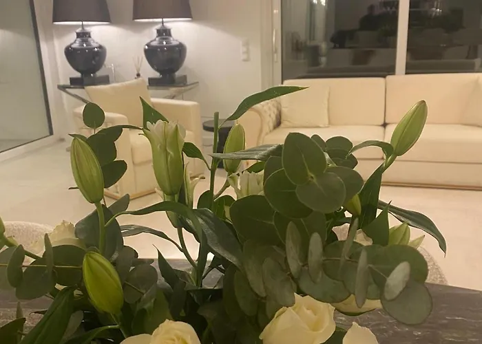 Luxury Duesseldorf-meerbusch Fuer 1-6 Personen, 10 Minuten Zum Airport Oder Messe, 15 Minuten Zur Koenigsallee Meerbusch